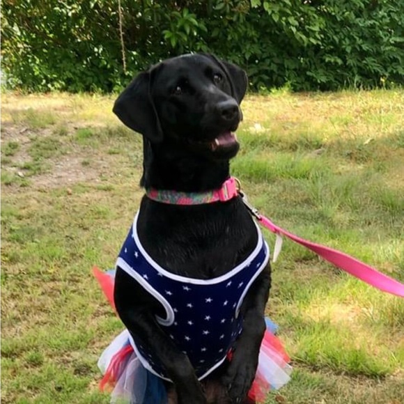 Meet your Posher, Jennifer - Picture 3 of 3